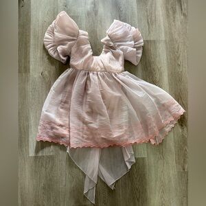 nora lee pink chiffon heart embroidered mini mommy & me dress size small